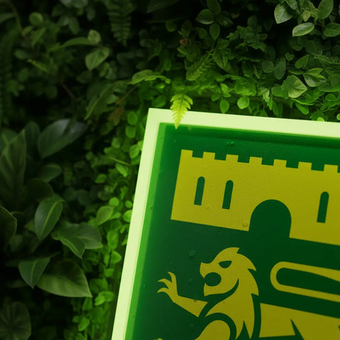Enseigne néon Norwich City