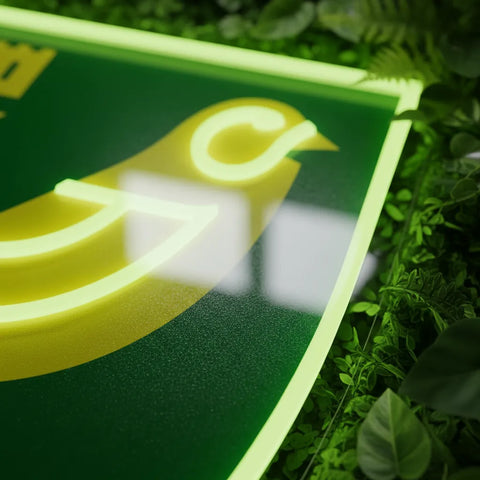 Enseigne néon Norwich City