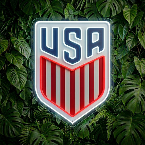 Enseigne néon Coupe du Monde USA