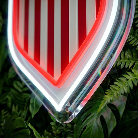Enseigne néon Coupe du Monde USA